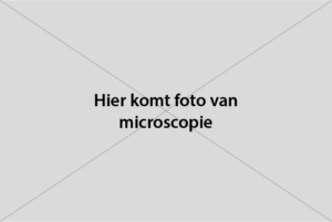 Microscopy