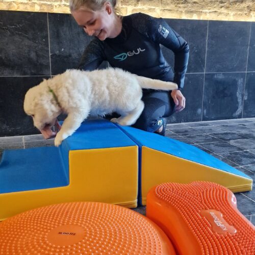 jolien puppy